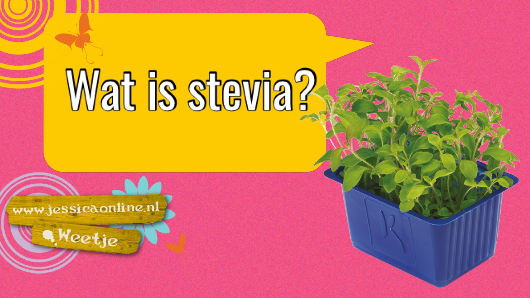 Wat is Stevia